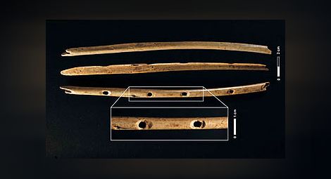 В Китай откриха флейти на 9000 години