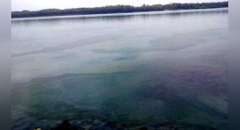 Нефтени петна плувнаха по Дунав през уикенда