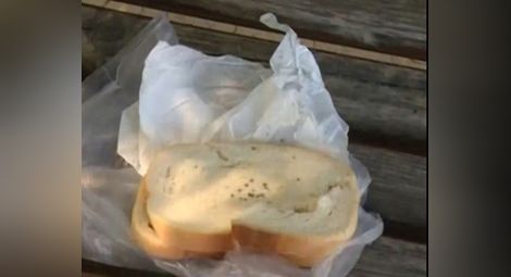 Пробутват мухлясали сандвичи на доброволците в "Аспарухово"