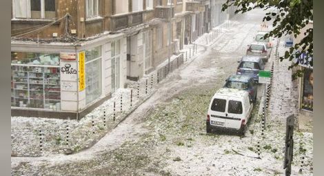 Бурята в София взе жертва - дърво смаза човек в Борисовата градина