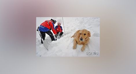 Куче за първи път стигна до базовия лагер на Еверест