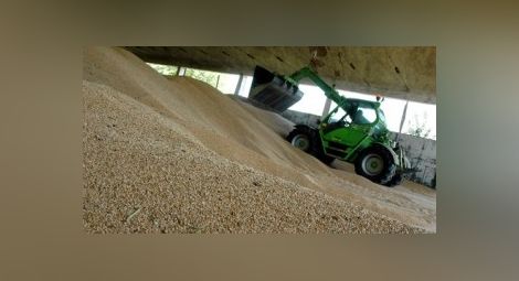 НАП: Обратното начисляване на ДДС за зърнопроизводителите се отлага