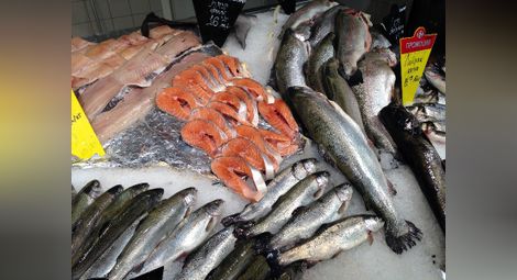 ИАРА започна масови проверки за продажба на риба в страната