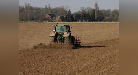 Таванът на агросубсидиите за площ  удря 30 русенски зърнопроизводители
