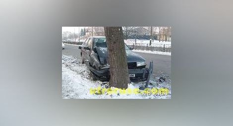 Майка с две деца заби "Сеат" в дърво в Благоевград