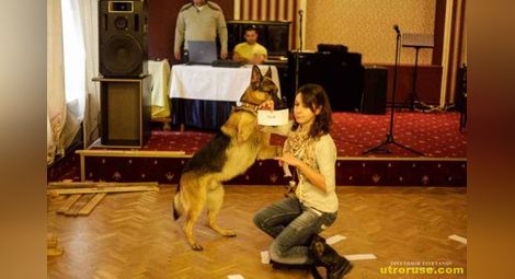 Четящо куче изуми журито на русенските таланти