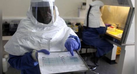 Нигерия вади сензационен цяр срещу ебола!