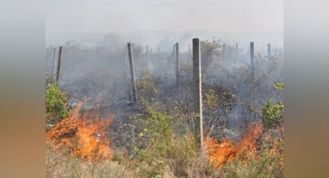 Собственици на имоти в Красен 2 пъти за ден запалиха сухи треви