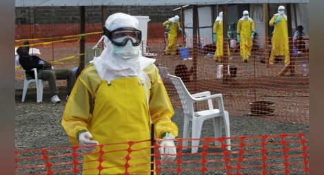 Нова надежда за лекарство срещу ебола