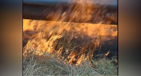 35 дка резене изгоряха от запалено стърнище