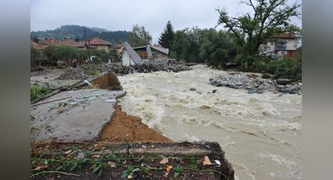 Пострадали в Берковица: Безразборна сеч е причинила наводнението - снимки от поредната трагедия