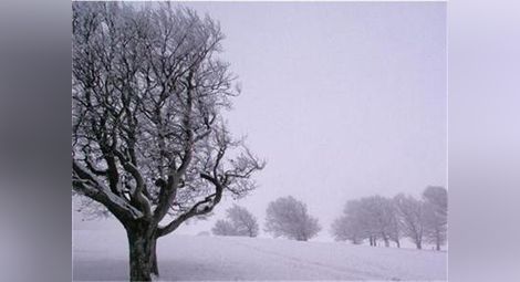 Първи сняг заваля в Сърбия