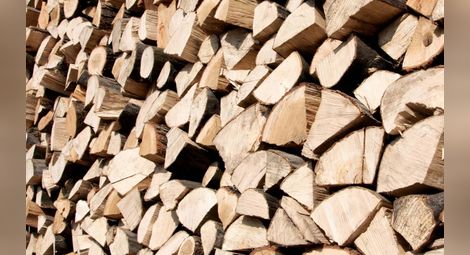 WWF представя анализ за незаконния дърводобив у нас