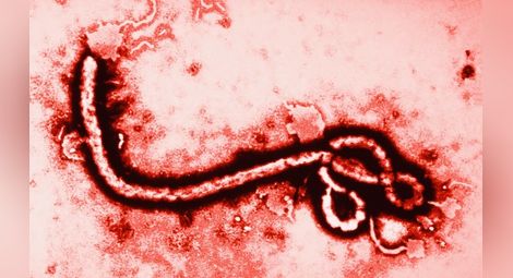 Шестима в болница в Испания заради ебола
