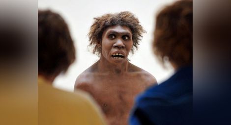 "Индипендънт": Археолози откриха липсващо звено в еволюцията на човека
