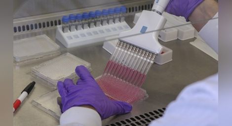 Започнаха първи изпитания на ваксина срещу ебола