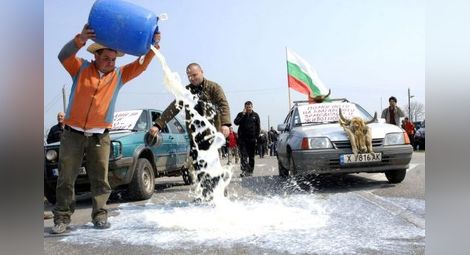 Евтин внос удря българското мляко