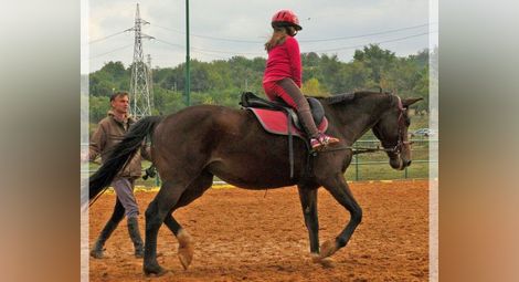 Швейцарци ще обучават русенски  треньори на терапия с коне
