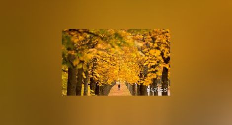 Времето остава предимно облачно