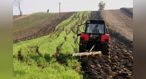 Община Борово получава най-много агросубсидии