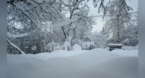 Зимният януари – безснежен, слънчев и топъл
