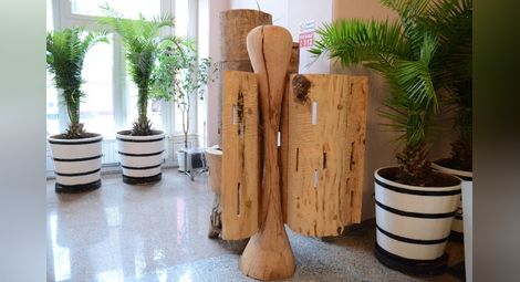 Дървесата от скулптурния симпозиум ще бъдат подредени на кея на Дунава