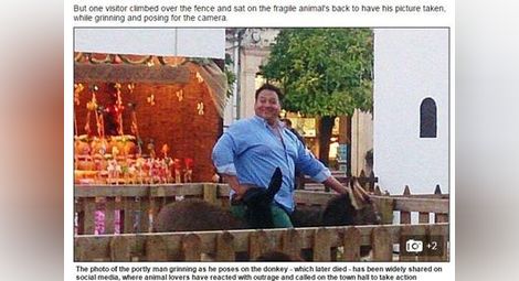 150-килограмов мъж яхна магаре и го уби