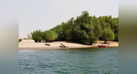България може да загуби 6 кв. км острови в Дунав