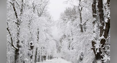 НИМХ: Зимата в България тепърва предстои