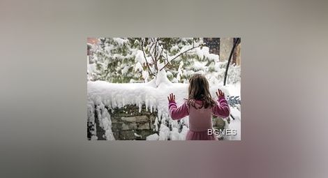 Норвежец вика полиция, в двора му завалял сняг
