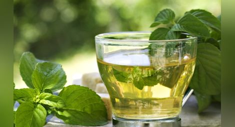 Учени: Зеленият чай наистина помага за отслабване, ако се комбинира с упражнения