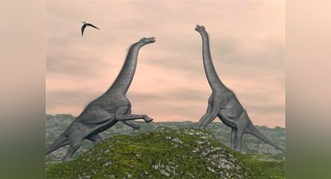 Учени: Динозаврите пасели праисторически вариант на LSD
