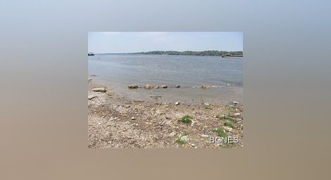 Василева: Няма сигнали за опасност от замърсяване на Дунав