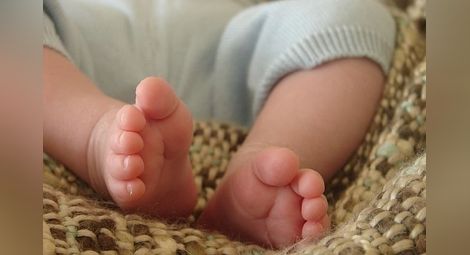 Фонд Ин витро отбелязва шестата си годишнина с кампанията „Голямото преброяване на бебета ин витро”