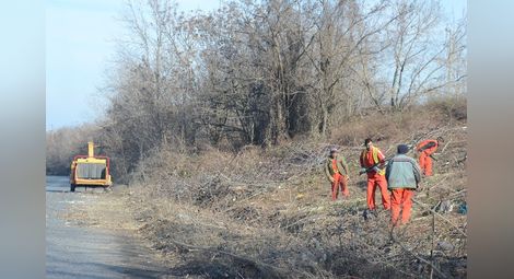 Фирма „Мели“ чисти крайпътни храсти срещу дървесината