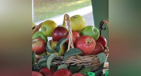 САЩ одобриха генетично модифицирани ябълки