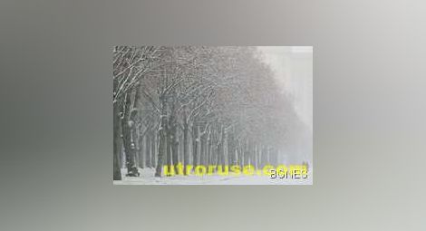 Тези луди, луди рекорди: Украинец лежа час и 20 минути гол в снега