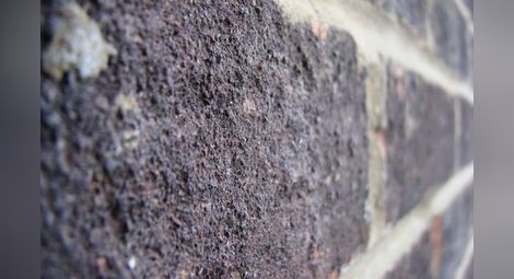 Учени откриха начин да виждат през непрозрачни материали