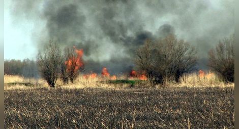 200 пожара в сухи треви и нито един наказан от началото на годината