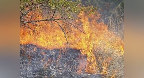 Над 41 дка сухи храсти и тон царевица изгоряха в пожари в Русенско