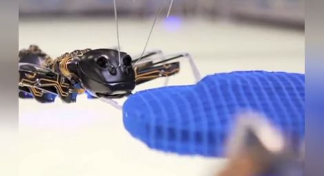 Бионични мравки ще са утрешните работници във фабрики