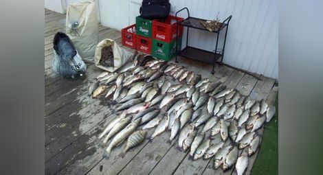 Крадец източи язовир и задигна над 600 кг риба във Врачанско