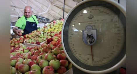 Русия отряза реекспорта на плодове от България
