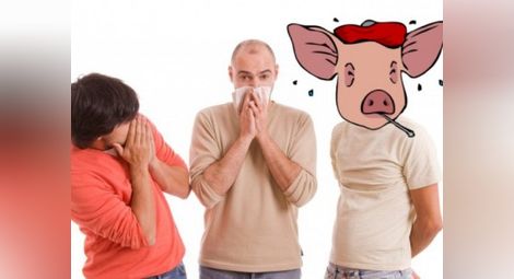 Любопитно за свинския грип