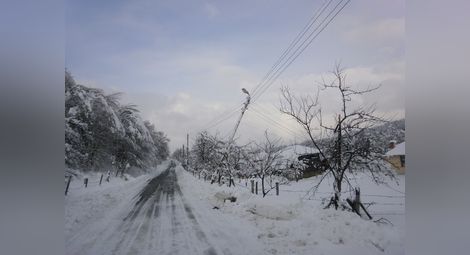 Енерго-Про: 46 села от Североизточна България са без ток