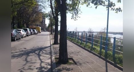 Крадци спряха уличното осветление на "Придунавски"