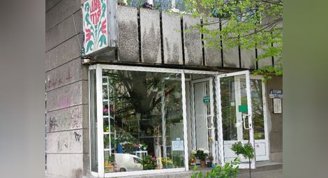 Софиянец взе цветарския магазин  в „Сердика“ за 75 400 лева