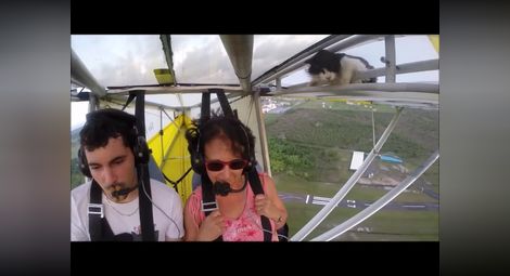 Хит в интернет: Котка лети с делтапланер (видео)