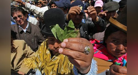 Папата ще дъвчи листа от кока в Боливия