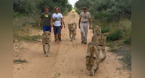Как се грижат за дивите животни в Намибия – по Viasat Nature